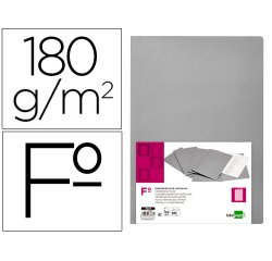 Subcarpeta liderpapel folio gris 180g/m2