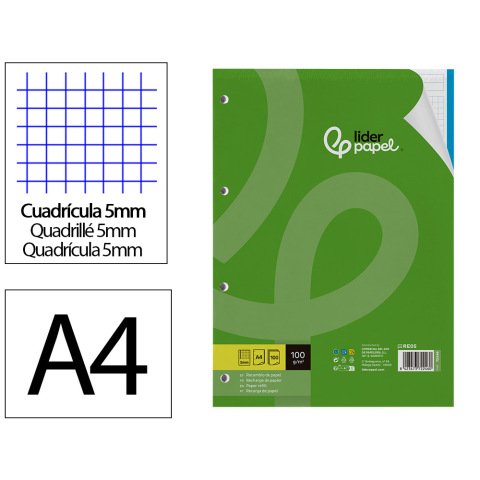 Recambio liderpapel a4 100 hojas 100gr cuadro 5mm 4 taladros bandas de 5 colores