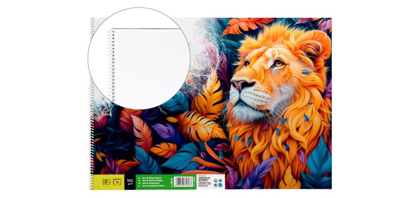 Bloc dibujo liderpapel artistico espiral 460x325mm 20 hojas 180gr/m2 sin recuadro perforado