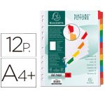 Separadores Separadores neutros con pestañas reforzados - Blanco - Blanco