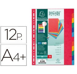 Separadores Exacompta Nature Future cartula lustrada 225g 12 posiciones - A4 maxi