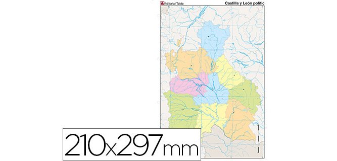 Mapa mudo color din a4 castilla-leon politico