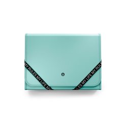 Carpeta carchivo my rules clasificadora acordeon 13 departamentos polipropileno con gomas folio color verde
