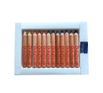 Lapices de colores playcolor maxi basic con sacapuntas caja de 12 unidades colores surtidos