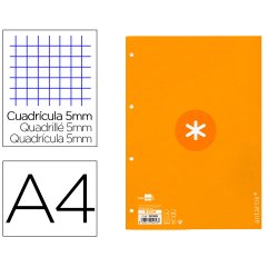Recambio liderpapel A4 antartik 80 hojas 90g/m2 cuadro 5 mm 4 taladros 1 banda marco color mostaza