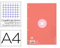 Recambio liderpapel A4 Antartik 80 hojas 90g/m2 cuadro 5 mm 4 taladros 1 banda marco color rosa