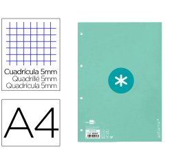 Recambio liderpapel A4 antartik 80 hojas 90g/m2 cuadro 5 mm 4 taladros 1 banda marco color menta