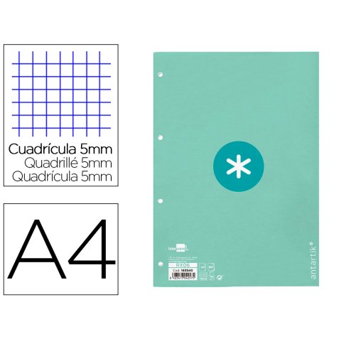 Recambio liderpapel A4 antartik 80 hojas 90g/m2 cuadro 5 mm 4 taladros 1 banda marco color menta