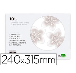 Bloc trabajos manuales liderpapel cartulina 240x315mm 10 hojas color blanco