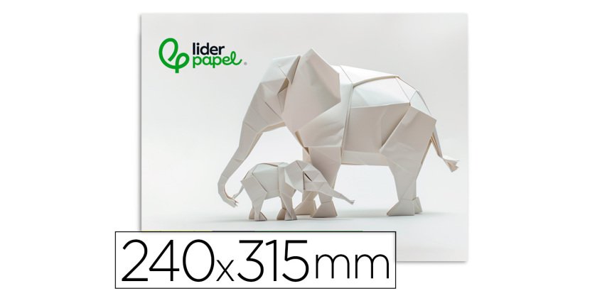 Bloc trabajos manuales liderpapel cartulina 240x315mm 10 hojas color blanco