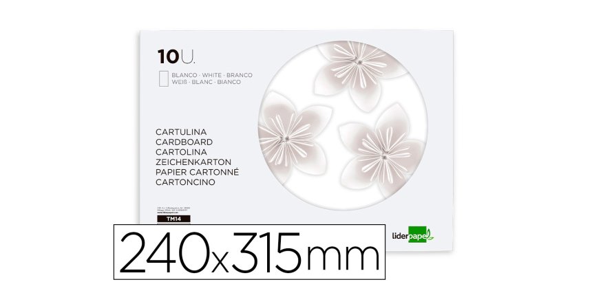 Bloc trabajos manuales liderpapel cartulina 240x315mm 10 hojas color blanco