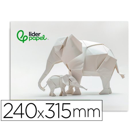 Bloc trabajos manuales liderpapel cartulina 240x315mm 10 hojas color blanco