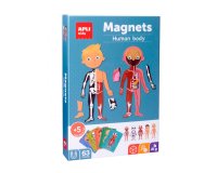 Juego apli didactico magnetico el cuerpo humano