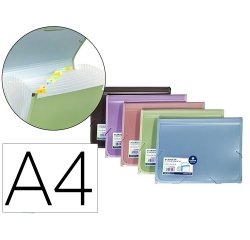 Carpeta clasificadora carhivo con ribete 13 departamentos polipropileno color metalizado expositor de 12 unidades
