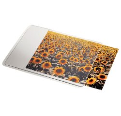 Alfombrilla para raton esselte transparente personalizable 190x2x240 mm
