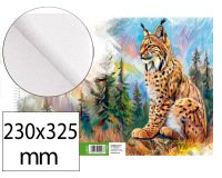 Bloc dibujo liderpapel artistico natura espiral 230x325mm 20 hojas 130g/m2 sin recuadro perforado