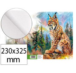 Bloc dibujo liderpapel artistico natura espiral 230x325mm 20 hojas 130g/m2 sin recuadro perforado