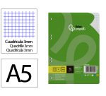 Recambio liderpapel a5 100 hojas 75gr cuadro 3mm con margen 6 taladros