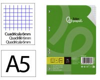 Recambio liderpapel a5 100 hojas 75gr cuadro 6mm con margen 6 taladros
