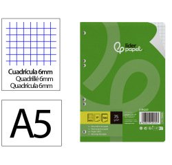 Recambio liderpapel a5 100 hojas 75gr cuadro 6mm con margen 6 taladros