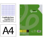 Recambio liderpapel a4 100 hojas 75 gr cuadro 3 mm con margen 4 taladros
