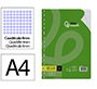 Recambio liderpapel a4 100 hojas 75gr cuadro 4mm con margen 16 taladros