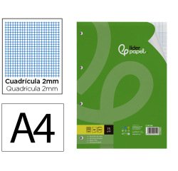 Recambio liderpapel a4 100 hojas 75gr milimetrado 2 mm sin margen 4 taladros