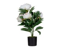 Flor artificial paperflow peonia blanca 55 cm