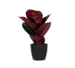 Planta artificial paperflow ficus elastica 36 cm