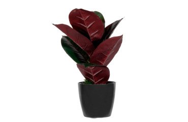 Planta artificial paperflow ficus elastica 36 cm