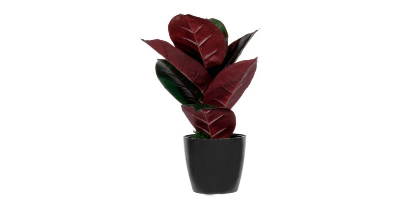 Planta artificial paperflow ficus elastica 36 cm
