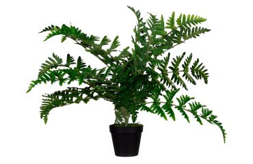 Planta artificial paperflow helecho 55 cm