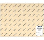 Cartulina guarro iris 50x65 cm 185 gr pack de 120 unidades colores pastel surtidos