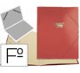 Carpeta clasificador carton compacto saro folio roja 12 departamentos