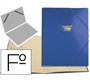 Carpeta clasificador carton compacto saro folio azul 12 departamentos