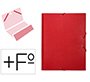Carpeta clasificadora liderpapel 12 departamentos folio prolongado carton forrado color rojo