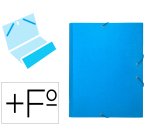 Carpeta clasificadora liderpapel 12 departamentos folio prolongado carton forrado celeste