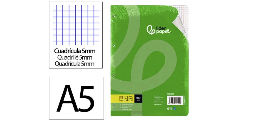 Recambio liderpapel a5 100 h 100gr cuadro 5mm con margen 6 taladros
