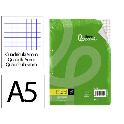 Recambio liderpapel a5 100 h 100gr cuadro 5mm con margen 6 taladros