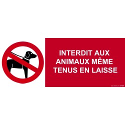 Panneau d'interdiction - Interdit aux Animaux Même Tenus en Laisse  - 210 x 75 - PVC