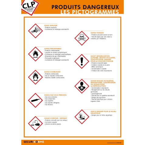Poster CLP - Identification des Pictogrammes de Danger - Plastifié - 297x420 mm