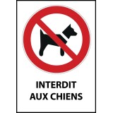 Panneau interdiction - Chiens interdits - P021  - 210 x 148 - Vinyle souple autocollant