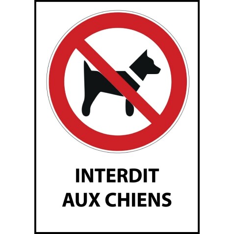 Panneau interdiction - Chiens interdits - P021  - 210 x 148 - Vinyle souple autocollant