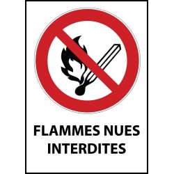 Panneau - Flammes nues interdites - P003   - Vinyle Souple Autocollant - A4