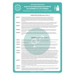 Affiche - Égalité de rémunération H/F - A3 - Papier plastifié