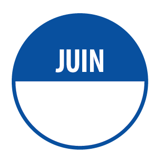 Pastilles - Inventaire Juin - 40 mm - Rouleau de 500