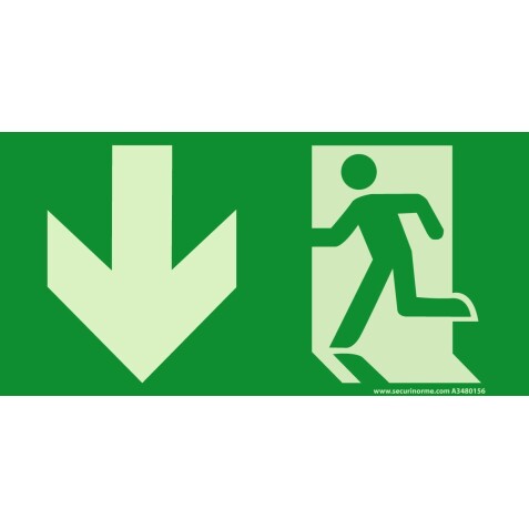 Panneau évacuation - Sortie de secours - E001 - Photo-luminescent  - 200 x 100 mm - PVC