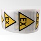 Rouleau de Pictos de Danger - Atmosphère explosive ATEX - W021   - 100 mm