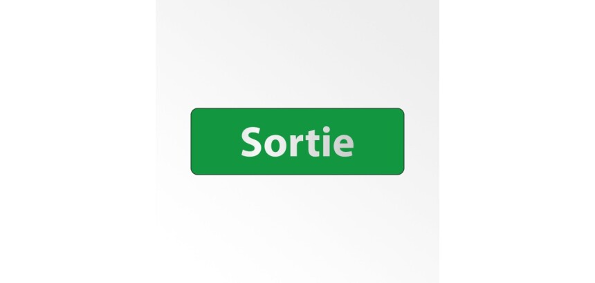 Panneau Signalétique - Sortie   - 150 x 47 - Argent