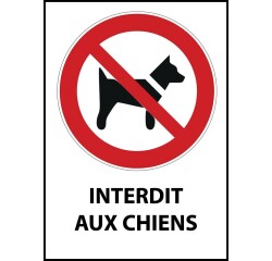 Panneau d'interdiction - Pictogramme Chiens interdits - ISO 7010  - PVC dos adhésif - A5